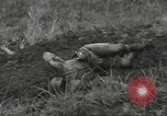 Standbild US-Truppen bivouaced auf Guam Guam Marianen, 1944, aus Sekunde 51 historischem Filmmaterial Videoclip 65675062234