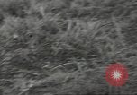 Standbild US-Truppen bivouaced auf Guam Guam Marianen, 1944, aus Sekunde 58 historischem Filmmaterial Videoclip 65675062234