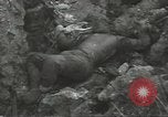 Standbild US-Invasion von Guam Zweiten Weltkrieg Guam Marianen, 1944, aus Sekunde 9 historischem Filmmaterial Videoclip 65675062235