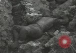 Standbild US-Invasion von Guam Zweiten Weltkrieg Guam Marianen, 1944, aus Sekunde 15 historischem Filmmaterial Videoclip 65675062235