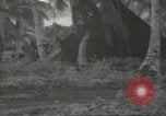Standbild United States Army Air Forces Guam Marianen, 1944, aus Sekunde 24 historischem Filmmaterial Videoclip 65675062241