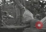 Standbild United States Army Air Forces Guam Marianen, 1944, aus Sekunde 50 historischem Filmmaterial Videoclip 65675062241