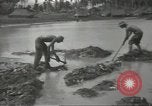 Standbild United States Army Air Forces Guam Marianen, 1944, aus Sekunde 34 historischem Filmmaterial Videoclip 65675062243