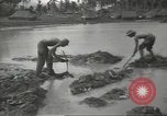 Standbild United States Army Air Forces Guam Marianen, 1944, aus Sekunde 35 historischem Filmmaterial Videoclip 65675062243