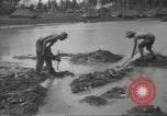 Standbild United States Army Air Forces Guam Marianen, 1944, aus Sekunde 36 historischem Filmmaterial Videoclip 65675062243