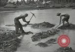 Standbild United States Army Air Forces Guam Marianen, 1944, aus Sekunde 37 historischem Filmmaterial Videoclip 65675062243
