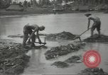 Standbild United States Army Air Forces Guam Marianen, 1944, aus Sekunde 38 historischem Filmmaterial Videoclip 65675062243