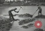 Standbild United States Army Air Forces Guam Marianen, 1944, aus Sekunde 40 historischem Filmmaterial Videoclip 65675062243
