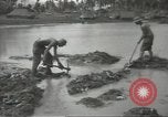 Standbild United States Army Air Forces Guam Marianen, 1944, aus Sekunde 41 historischem Filmmaterial Videoclip 65675062243
