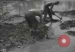 Standbild United States Army Air Forces Guam Marianen, 1944, aus Sekunde 44 historischem Filmmaterial Videoclip 65675062243