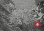 Image of United States Army Air Forces Guam Mariana Islands, 1944, second 23 stock footage video 65675062246