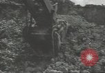 Image of United States Army Air Forces Guam Mariana Islands, 1944, second 31 stock footage video 65675062246