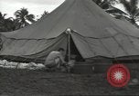 Image United States Army Air Forces Guam Îles Mariannes, 1944, de la seconde 12 séquences d'archives historiques vidéo 65675062248