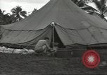 Image United States Army Air Forces Guam Îles Mariannes, 1944, de la seconde 13 séquences d'archives historiques vidéo 65675062248