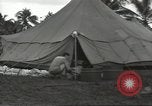 Image United States Army Air Forces Guam Îles Mariannes, 1944, de la seconde 14 séquences d'archives historiques vidéo 65675062248