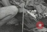 Image United States Army Air Forces Guam Îles Mariannes, 1944, de la seconde 28 séquences d'archives historiques vidéo 65675062248