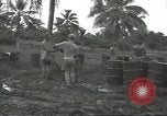 Image United States Army Air Forces Guam Îles Mariannes, 1944, de la seconde 37 séquences d'archives historiques vidéo 65675062248