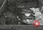 Image United States Army Air Forces Guam Îles Mariannes, 1944, de la seconde 61 séquences d'archives historiques vidéo 65675062248