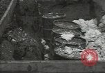 Image United States Army Air Forces Guam Îles Mariannes, 1944, de la seconde 62 séquences d'archives historiques vidéo 65675062248