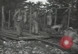 Standbild United States Army Air Forces Guam Marianen, 1944, aus Sekunde 22 historischem Filmmaterial Videoclip 65675062249