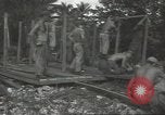 Standbild United States Army Air Forces Guam Marianen, 1944, aus Sekunde 23 historischem Filmmaterial Videoclip 65675062249