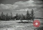 Image L'aviation soviétique avec des membres de l'arbre de pin camouflé 'Union soviétique, 1941, de la seconde 13 séquences d'archives historiques vidéo 65675062261