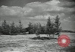 Image L'aviation soviétique avec des membres de l'arbre de pin camouflé 'Union soviétique, 1941, de la seconde 14 séquences d'archives historiques vidéo 65675062261