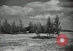 Image L'aviation soviétique avec des membres de l'arbre de pin camouflé 'Union soviétique, 1941, de la seconde 15 séquences d'archives historiques vidéo 65675062261