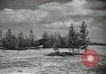Image L'aviation soviétique avec des membres de l'arbre de pin camouflé 'Union soviétique, 1941, de la seconde 17 séquences d'archives historiques vidéo 65675062261