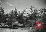 Image L'aviation soviétique avec des membres de l'arbre de pin camouflé 'Union soviétique, 1941, de la seconde 18 séquences d'archives historiques vidéo 65675062261