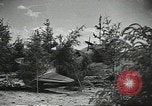 Image L'aviation soviétique avec des membres de l'arbre de pin camouflé 'Union soviétique, 1941, de la seconde 19 séquences d'archives historiques vidéo 65675062261