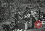 Image L'aviation soviétique avec des membres de l'arbre de pin camouflé 'Union soviétique, 1941, de la seconde 56 séquences d'archives historiques vidéo 65675062261