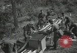 Image L'aviation soviétique avec des membres de l'arbre de pin camouflé 'Union soviétique, 1941, de la seconde 57 séquences d'archives historiques vidéo 65675062261