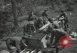 Image L'aviation soviétique avec des membres de l'arbre de pin camouflé 'Union soviétique, 1941, de la seconde 59 séquences d'archives historiques vidéo 65675062261