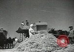Standbild Sowjetischen Bauern Schneid- und Dreschwerk Stiele von Korn während Zweiten Weltkrieg Sowjetunion, 1941, aus Sekunde 9 historischem Filmmaterial Videoclip 65675062264