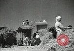 Standbild Sowjetischen Bauern Schneid- und Dreschwerk Stiele von Korn während Zweiten Weltkrieg Sowjetunion, 1941, aus Sekunde 11 historischem Filmmaterial Videoclip 65675062264