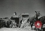Standbild Sowjetischen Bauern Schneid- und Dreschwerk Stiele von Korn während Zweiten Weltkrieg Sowjetunion, 1941, aus Sekunde 14 historischem Filmmaterial Videoclip 65675062264