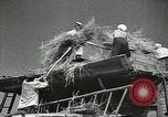 Standbild Sowjetischen Bauern Schneid- und Dreschwerk Stiele von Korn während Zweiten Weltkrieg Sowjetunion, 1941, aus Sekunde 22 historischem Filmmaterial Videoclip 65675062264