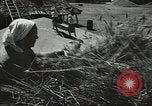 Standbild Sowjetischen Bauern Schneid- und Dreschwerk Stiele von Korn während Zweiten Weltkrieg Sowjetunion, 1941, aus Sekunde 25 historischem Filmmaterial Videoclip 65675062264