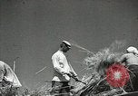 Standbild Sowjetischen Bauern Schneid- und Dreschwerk Stiele von Korn während Zweiten Weltkrieg Sowjetunion, 1941, aus Sekunde 28 historischem Filmmaterial Videoclip 65675062264