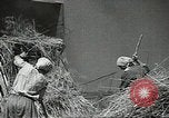 Standbild Sowjetischen Bauern Schneid- und Dreschwerk Stiele von Korn während Zweiten Weltkrieg Sowjetunion, 1941, aus Sekunde 30 historischem Filmmaterial Videoclip 65675062264