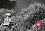 Standbild Sowjetischen Bauern Schneid- und Dreschwerk Stiele von Korn während Zweiten Weltkrieg Sowjetunion, 1941, aus Sekunde 31 historischem Filmmaterial Videoclip 65675062264