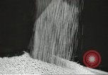 Standbild Sowjetischen Bauern Schneid- und Dreschwerk Stiele von Korn während Zweiten Weltkrieg Sowjetunion, 1941, aus Sekunde 33 historischem Filmmaterial Videoclip 65675062264