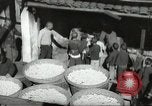 Immagine di Rifugiati cinesi Kiukiang Cina, 1938, secondo 13 filmato di repertorio 65675062266