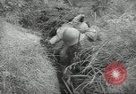 Immagine di I soldati giapponesi Kiukiang Cina, 1938, secondo 9 filmato di repertorio 65675062268