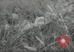 Immagine di I soldati giapponesi Kiukiang Cina, 1938, secondo 21 filmato di repertorio 65675062268