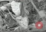 Immagine di I soldati giapponesi Kiukiang Cina, 1938, secondo 56 filmato di repertorio 65675062268