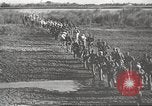 Image of prisoners of war Philippines, 1945, second 4 stock footage video 65675062293