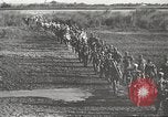 Image of prisoners of war Philippines, 1945, second 6 stock footage video 65675062293