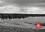 Image of prisoners of war Philippines, 1945, second 13 stock footage video 65675062293